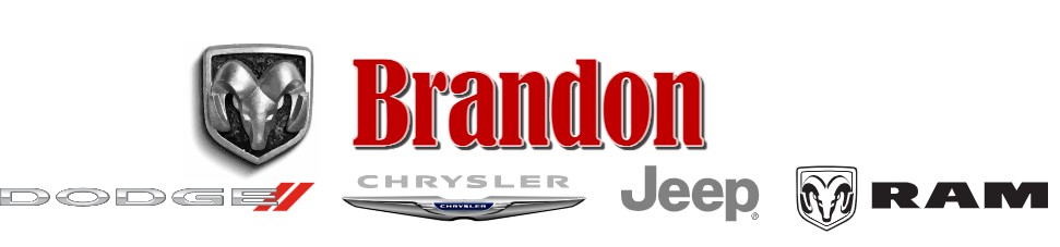 Brandon Dodge